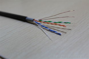廣東普菲特電線電纜廠室外雙護套網線0.51全銅CAT5E評測 耐用與穩定的網絡傳輸新選擇