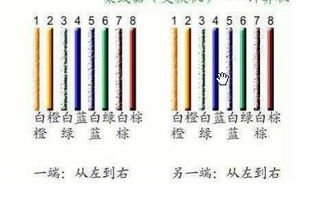 TCL多媒體盒網線接法全攻略 輕松實現網絡連接
